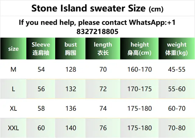 Stone Island Hoodie 2